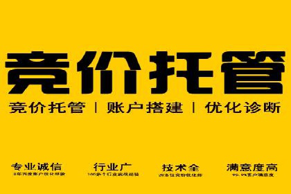 百度推广案例：精准广告投放策略解析